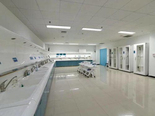 技術、服務、設備與環(huán)境 構建完善的綜合技術服務生態(tài)